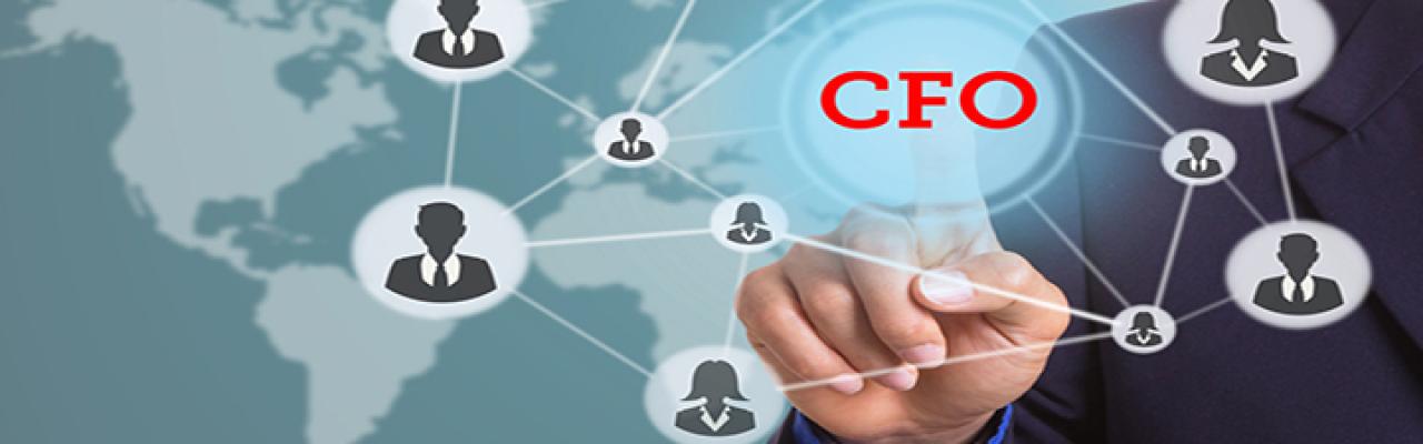 Support Services/Virtual CFO Services