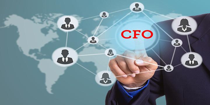Support Services/Virtual CFO Services